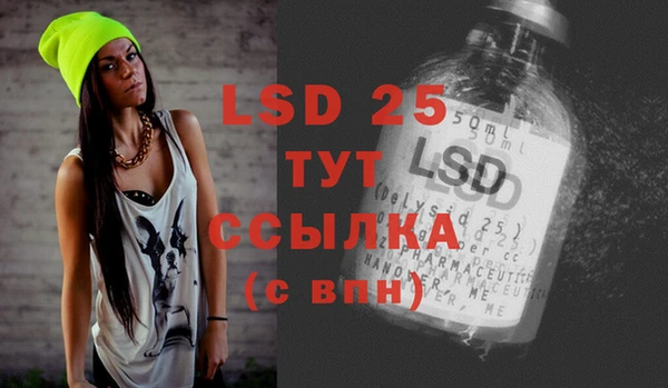 прущие грибы Алексин