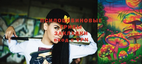 прущие грибы Алексин